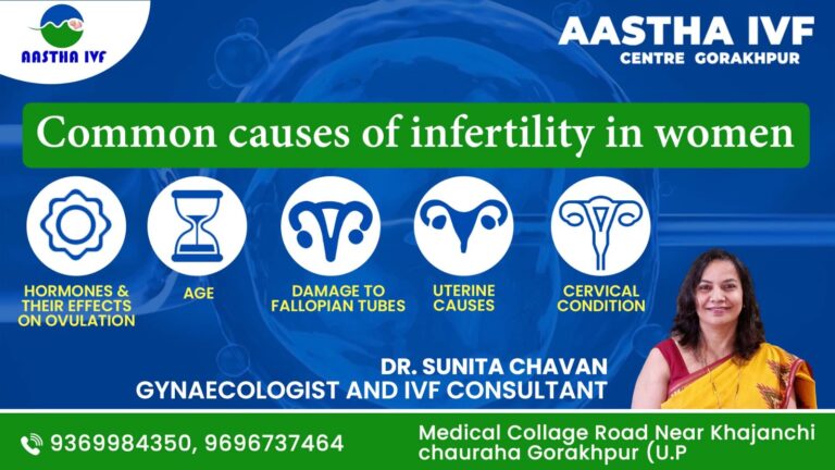 WhatsApp Image 2023-11-30 at 4.16.07 PM (1)